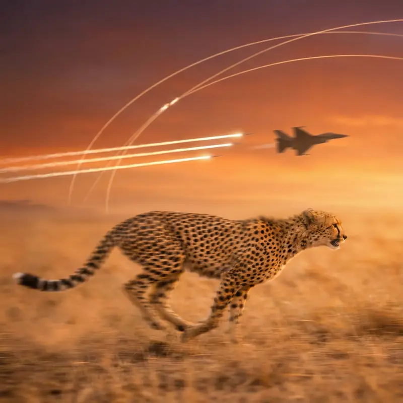Guepardo corriendo a máxima velocidad - Juego Aviator MGM Casino